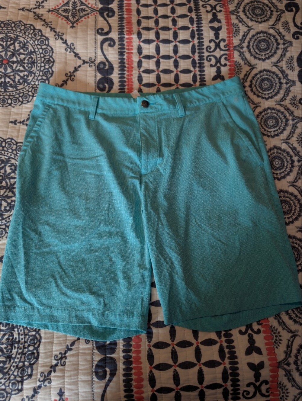 Adidas Men's Teal Casual Shorts